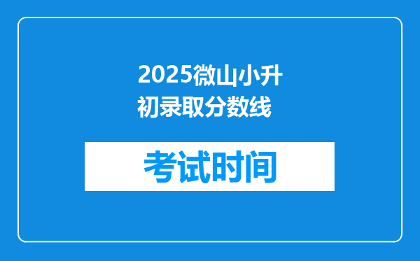 2025微山小升初录取分数线