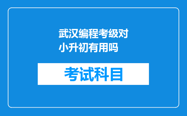 武汉编程考级对小升初有用吗