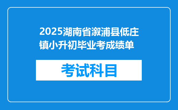 2025湖南省溆浦县低庄镇小升初毕业考成绩单