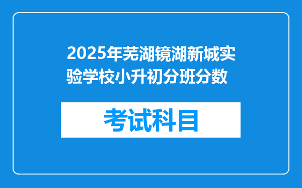 2025年芜湖镜湖新城实验学校小升初分班分数