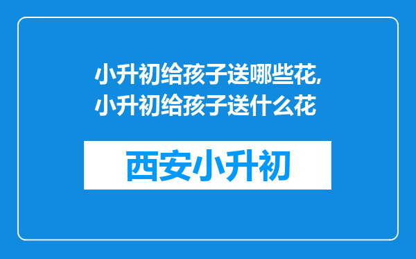 小升初给孩子送哪些花,小升初给孩子送什么花