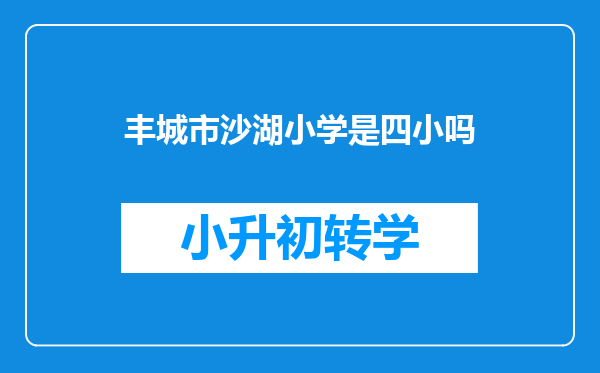 丰城市沙湖小学是四小吗