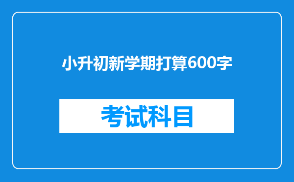 小升初新学期打算600字