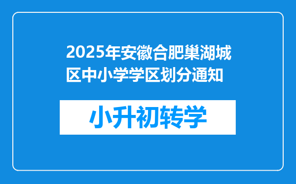 2025年安徽合肥巢湖城区中小学学区划分通知