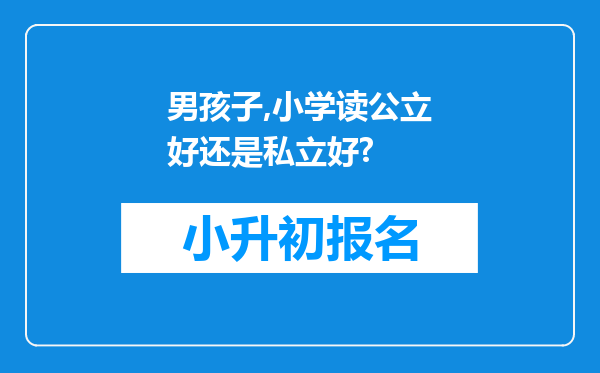 男孩子,小学读公立好还是私立好?