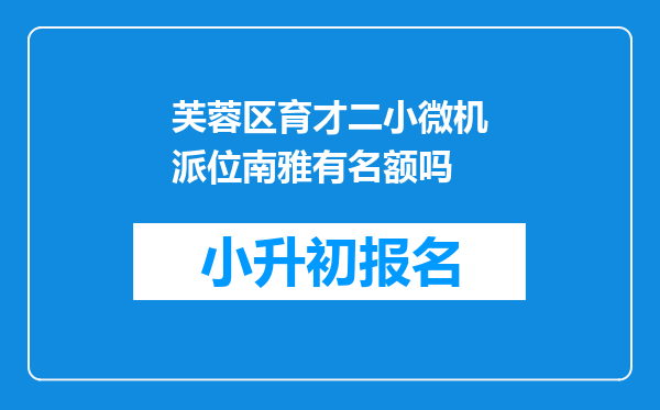 芙蓉区育才二小微机派位南雅有名额吗