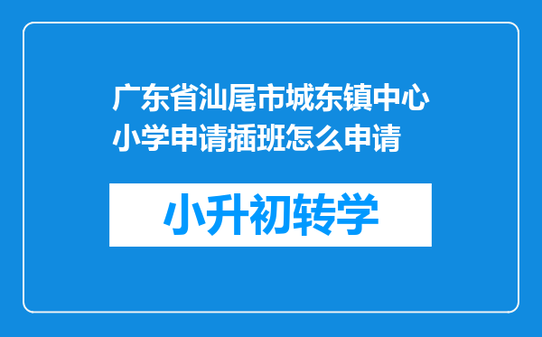 广东省汕尾市城东镇中心小学申请插班怎么申请