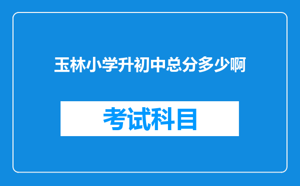 玉林小学升初中总分多少啊