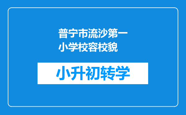 普宁市流沙第一小学校容校貌