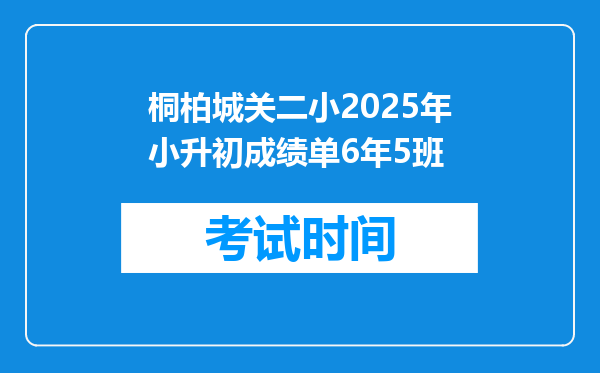 桐柏城关二小2025年小升初成绩单6年5班