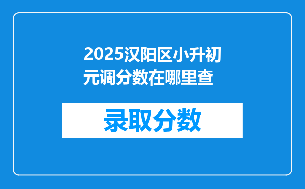 2025汉阳区小升初元调分数在哪里查