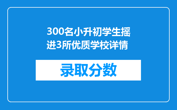 300名小升初学生摇进3所优质学校详情