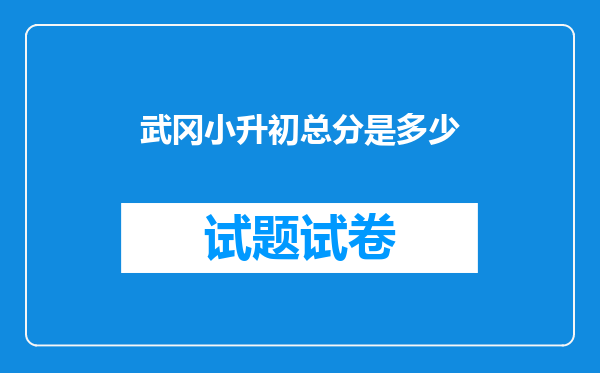 武冈小升初总分是多少