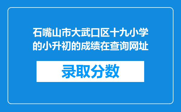 石嘴山市大武口区十九小学的小升初的成绩在查询网址