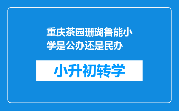 重庆茶园珊瑚鲁能小学是公办还是民办