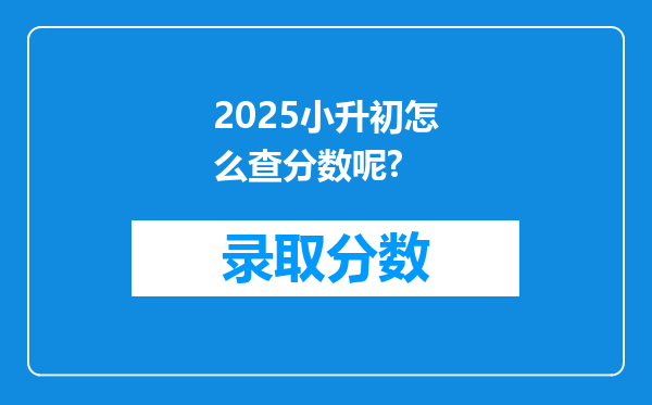 2025小升初怎么查分数呢?