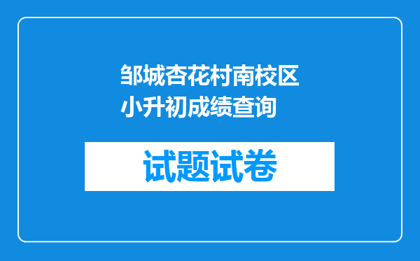 邹城杏花村南校区小升初成绩查询