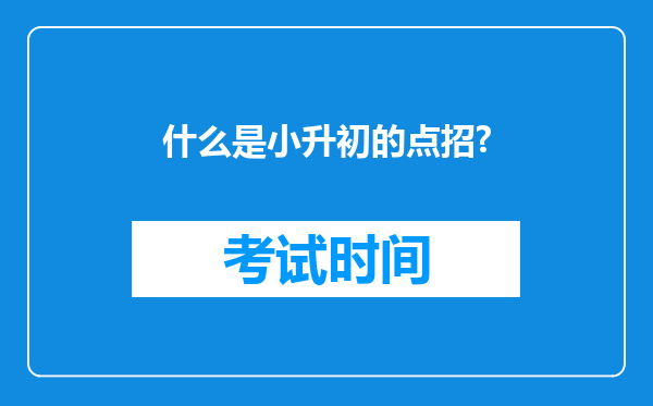 什么是小升初的点招?