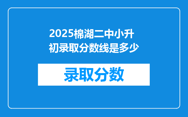 2025棉湖二中小升初录取分数线是多少