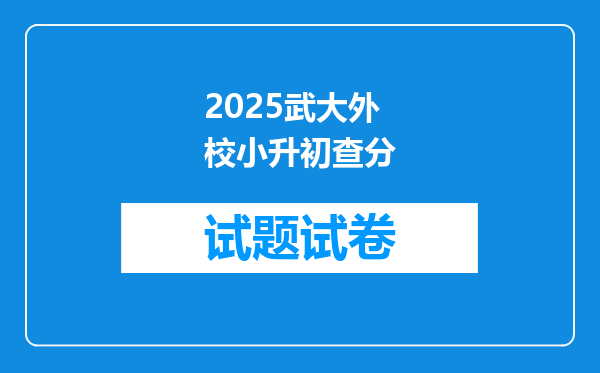 2025武大外校小升初查分