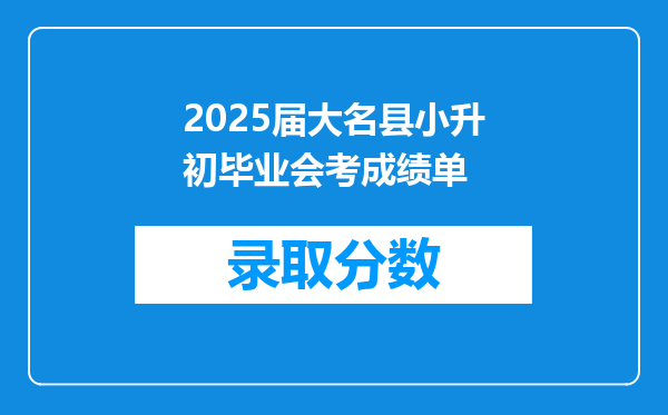 2025届大名县小升初毕业会考成绩单