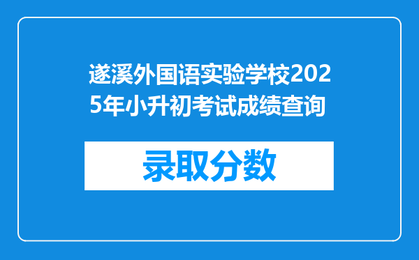 遂溪外国语实验学校2025年小升初考试成绩查询