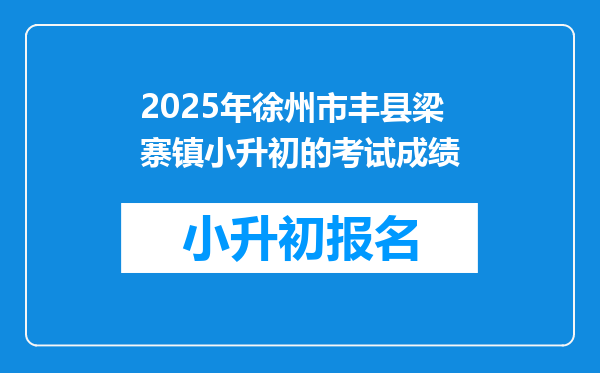 2025年徐州市丰县梁寨镇小升初的考试成绩