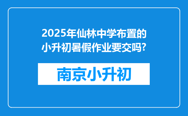 2025年仙林中学布置的小升初暑假作业要交吗?