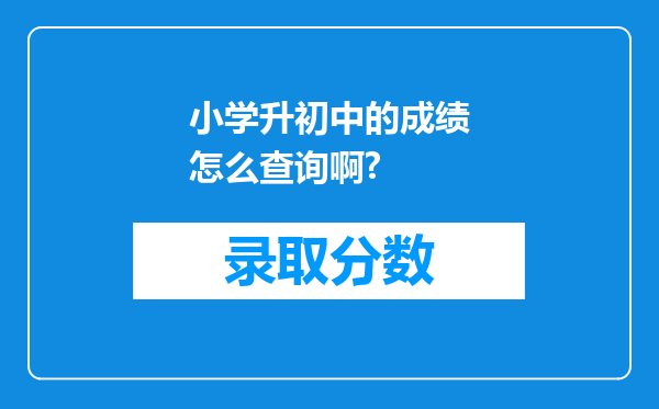 小学升初中的成绩怎么查询啊?