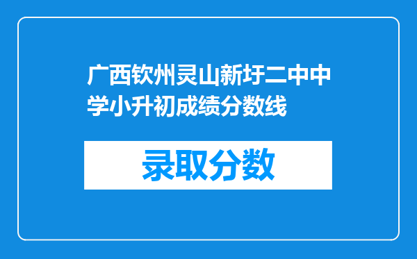 广西钦州灵山新圩二中中学小升初成绩分数线