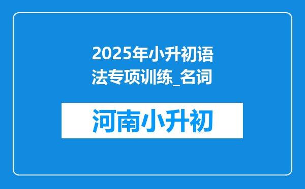 2025年小升初语法专项训练_名词