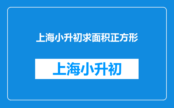 上海小升初求面积正方形