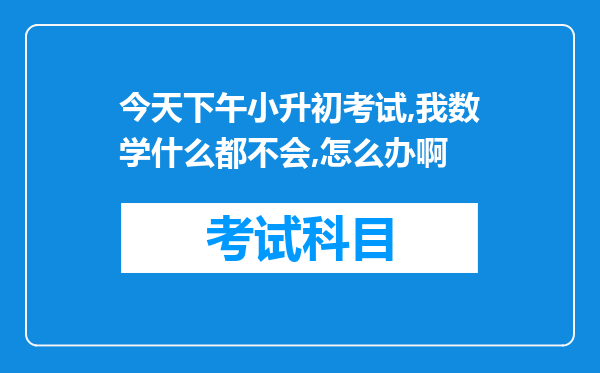 今天下午小升初考试,我数学什么都不会,怎么办啊