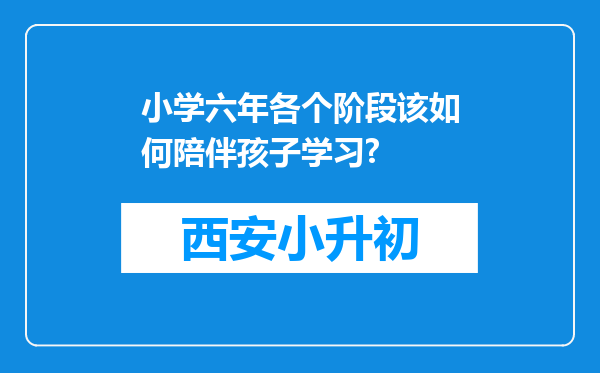 小学六年各个阶段该如何陪伴孩子学习?