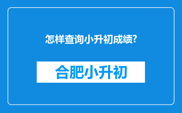 怎样查询小升初成绩?