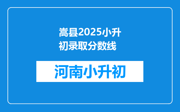 嵩县2025小升初录取分数线