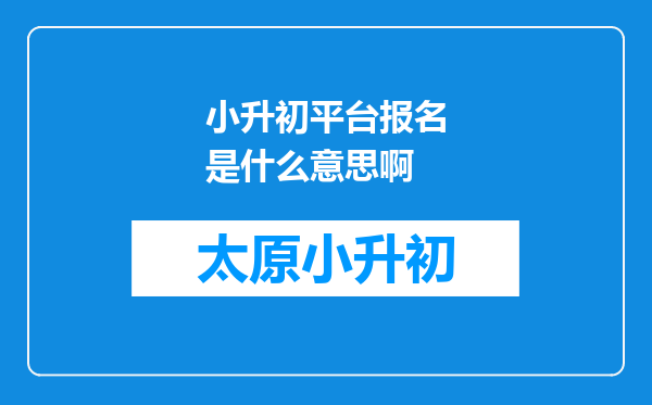 小升初平台报名是什么意思啊