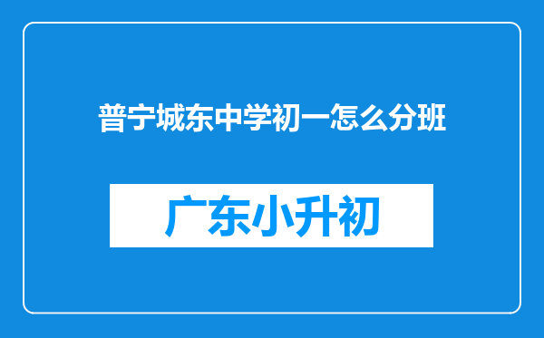 普宁城东中学初一怎么分班