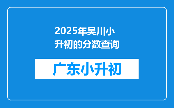 2025年吴川小升初的分数查询