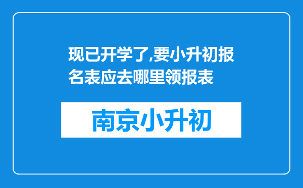 现已开学了,要小升初报名表应去哪里领报表