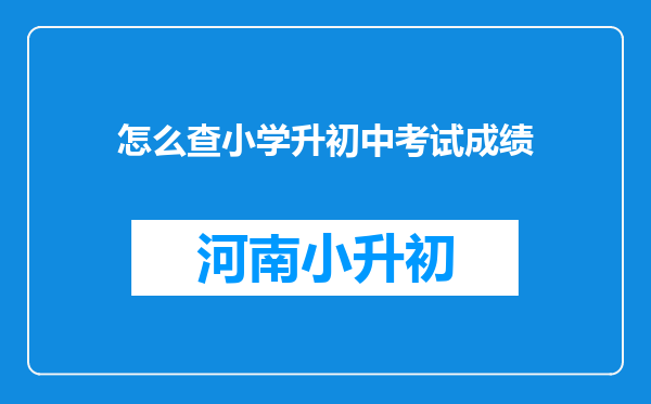 怎么查小学升初中考试成绩