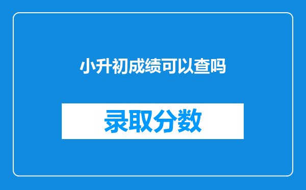 小升初成绩可以查吗