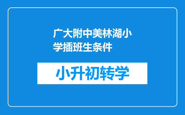 广大附中美林湖小学插班生条件