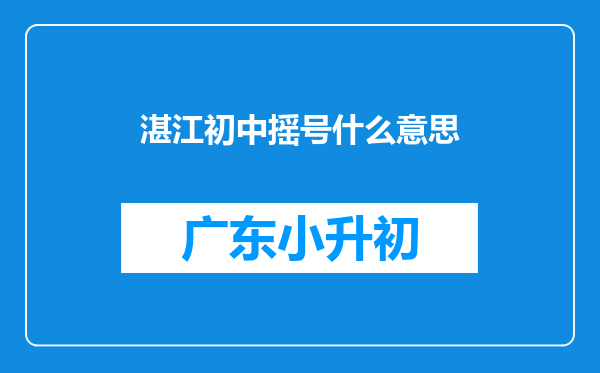 湛江初中摇号什么意思