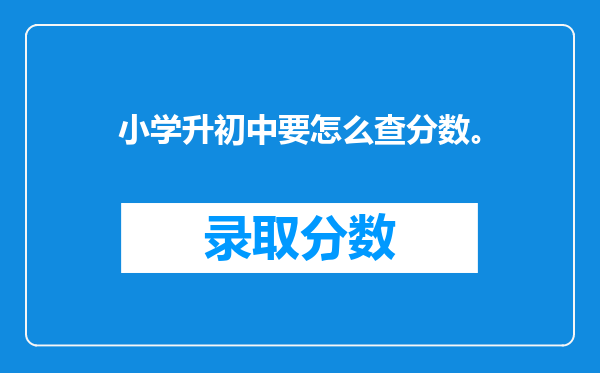 小学升初中要怎么查分数。