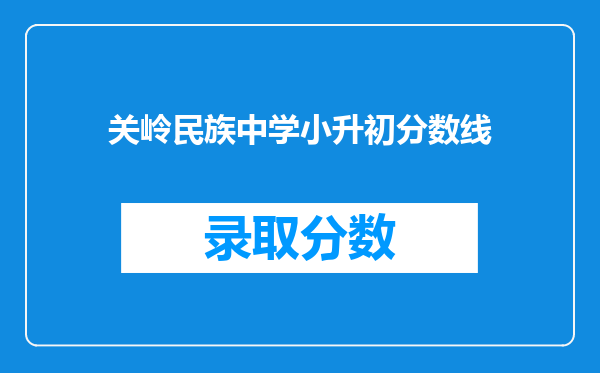 关岭民族中学小升初分数线