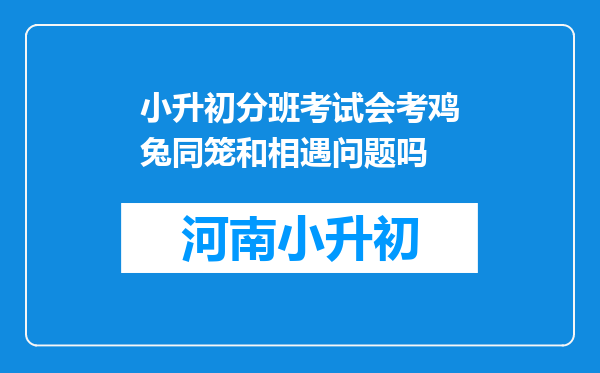 小升初分班考试会考鸡兔同笼和相遇问题吗