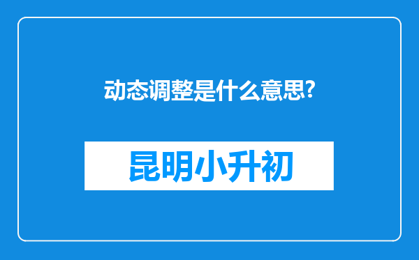 动态调整是什么意思?