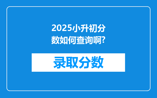 2025小升初分数如何查询啊?