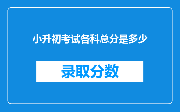 小升初考试各科总分是多少